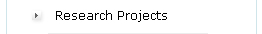 Research Projects